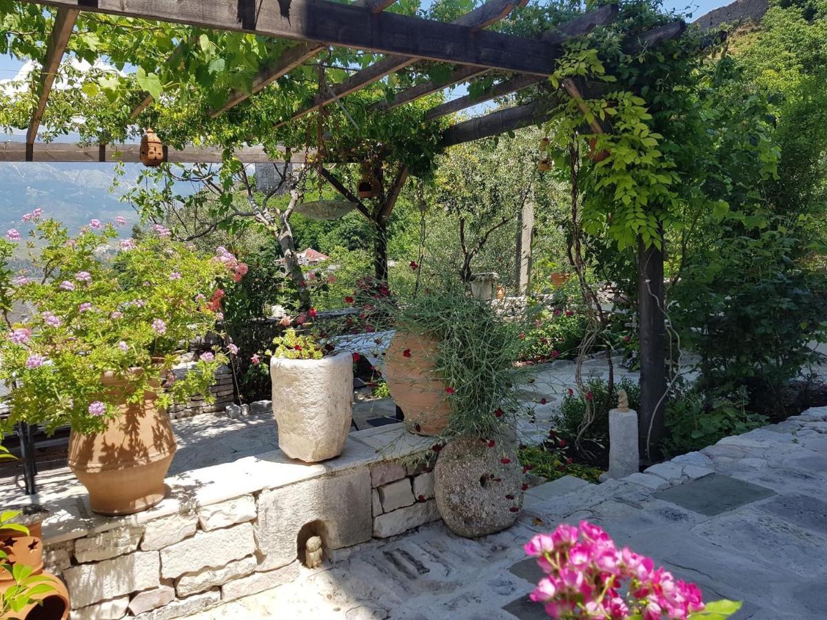 Konaku * Gjirokastër